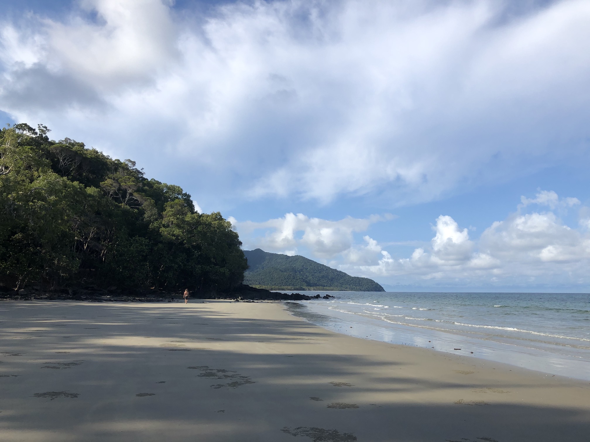 2020-10-29 View N, Daintree coastline