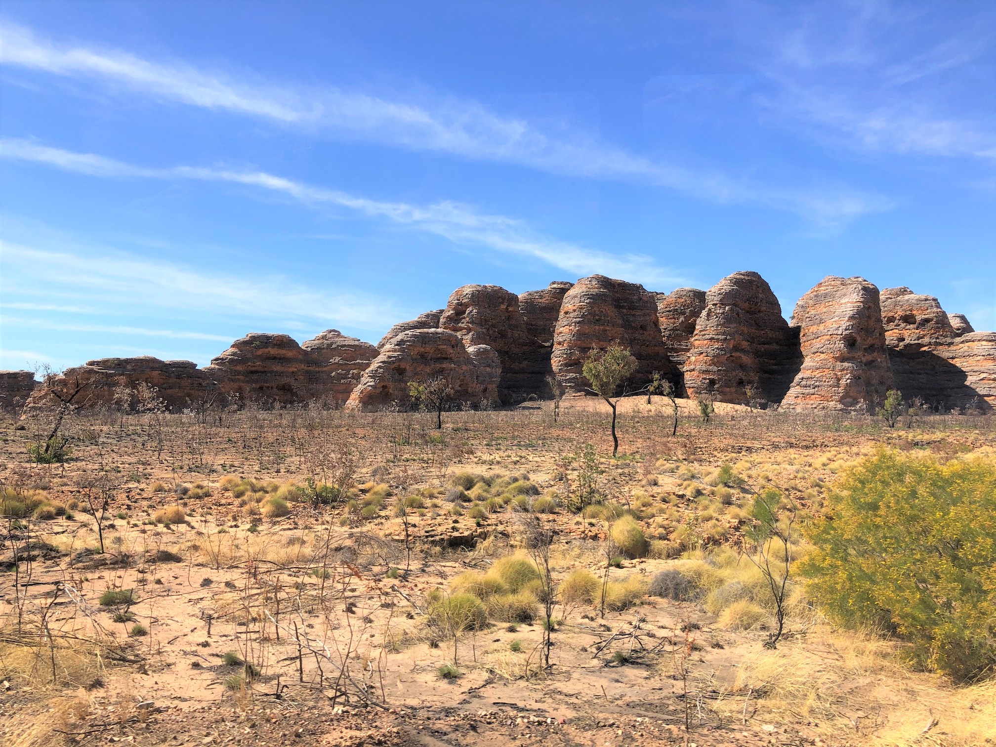 2020-08-08  Bungles  - Purnululu